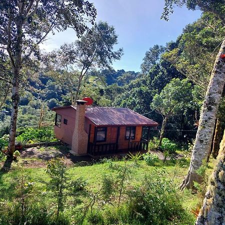 Las Bromelias Lodge Paso Macho Luaran gambar