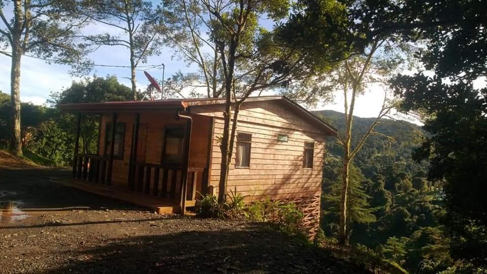 Las Bromelias Lodge Paso Macho Luaran gambar