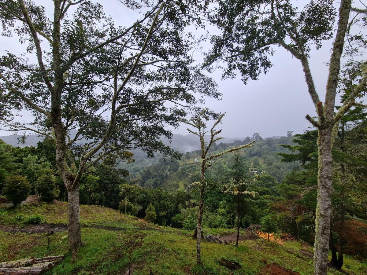 Las Bromelias Lodge Paso Macho Luaran gambar