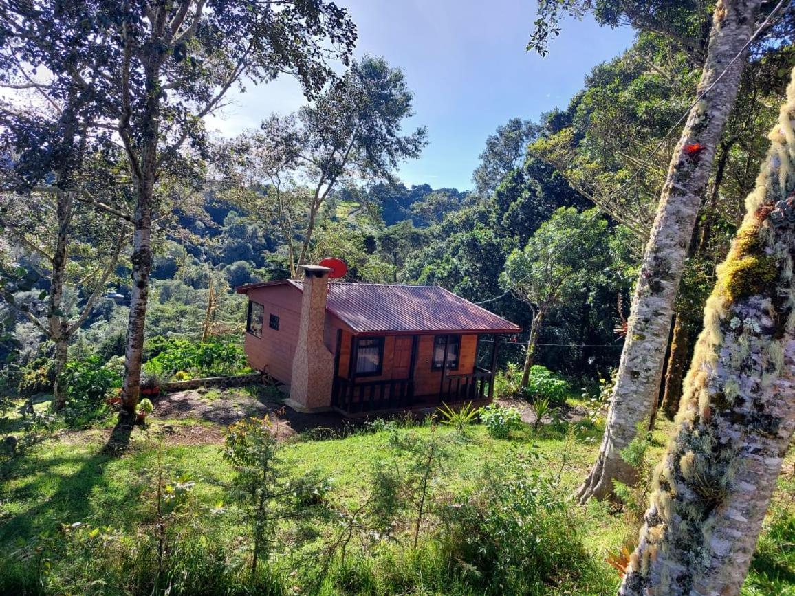 Las Bromelias Lodge Paso Macho Luaran gambar