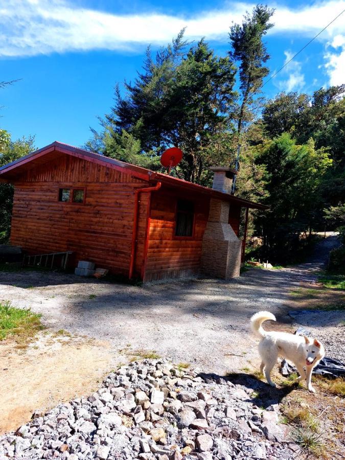 Las Bromelias Lodge Paso Macho Luaran gambar